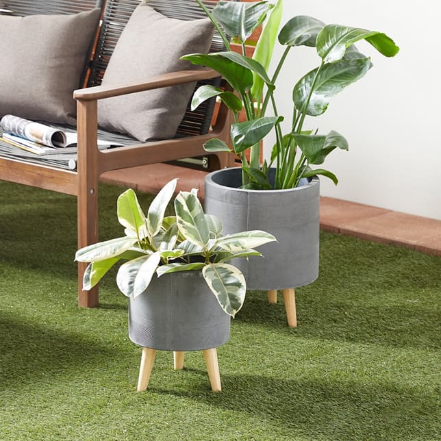 planters